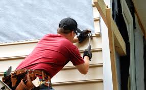 Best Vinyl Siding Installation  in Webster, FL